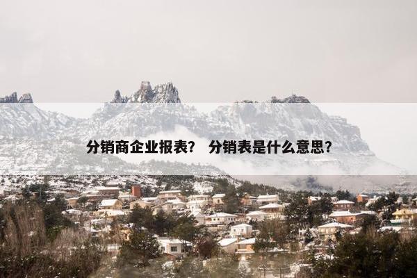 分销商企业报表？ 分销表是什么意思？
