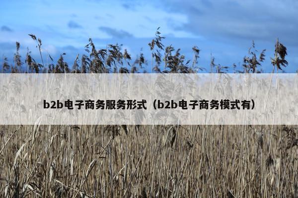 b2b电子商务服务形式（b2b电子商务模式有）
