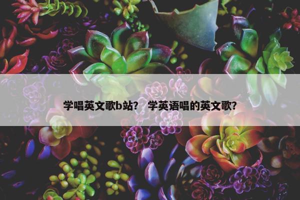 学唱英文歌b站？ 学英语唱的英文歌？