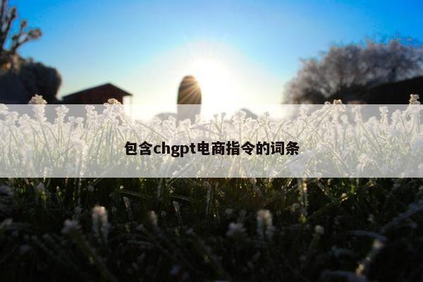 包含chgpt电商指令的词条