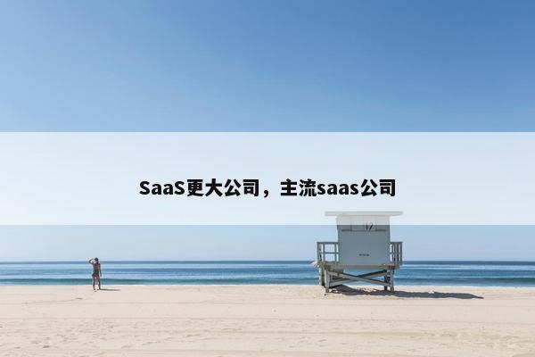 SaaS更大公司，主流saas公司