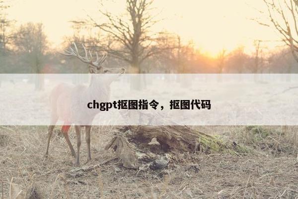 chgpt抠图指令，抠图代码