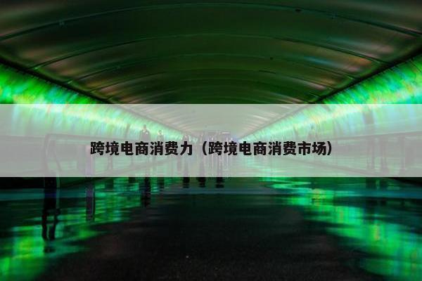 跨境电商消费力（跨境电商消费市场）