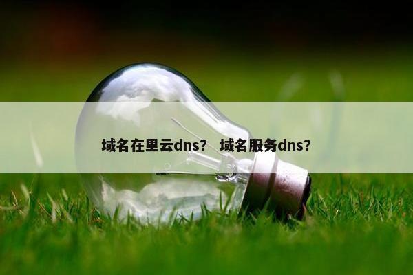 域名在里云dns？ 域名服务dns？