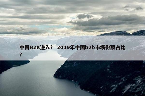 中国B2B进入？ 2019年中国b2b市场份额占比？