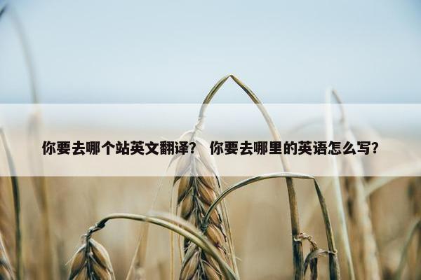 你要去哪个站英文翻译？ 你要去哪里的英语怎么写？