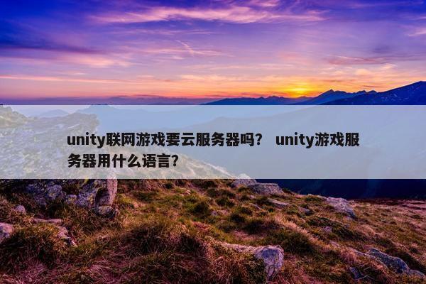 unity联网游戏要云服务器吗？ unity游戏服务器用什么语言？