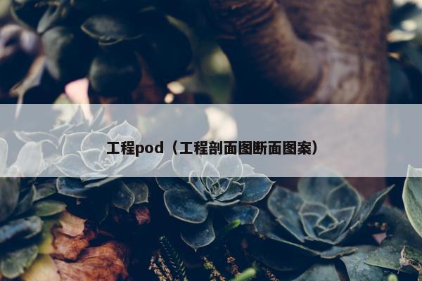 工程pod（工程剖面图断面图案）