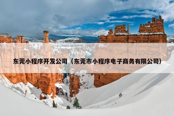东莞小程序开发公司（东莞市小程序电子商务有限公司）