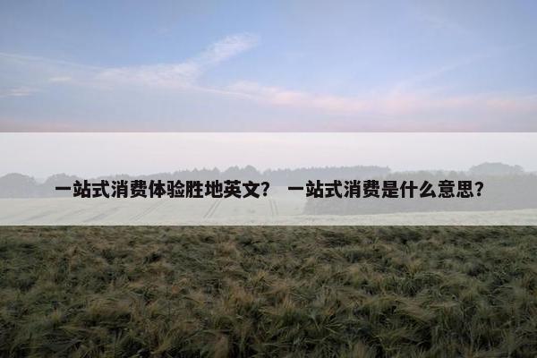 一站式消费体验胜地英文？ 一站式消费是什么意思？