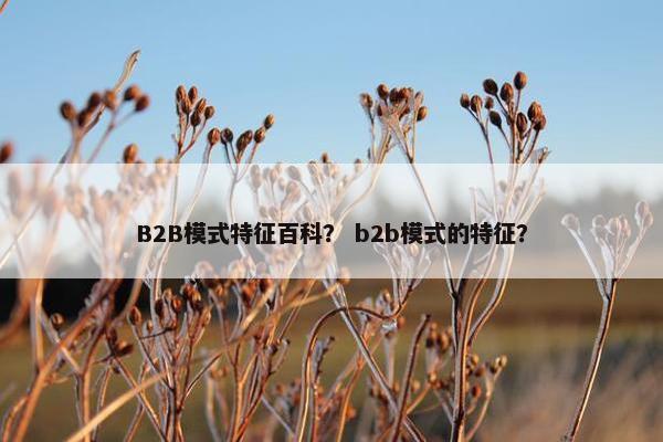 B2B模式特征百科？ b2b模式的特征？