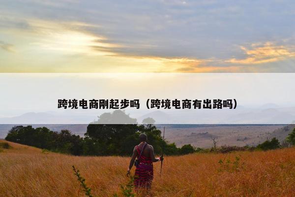 跨境电商刚起步吗（跨境电商有出路吗）