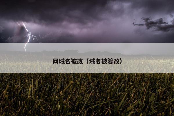 网域名被改（域名被篡改）