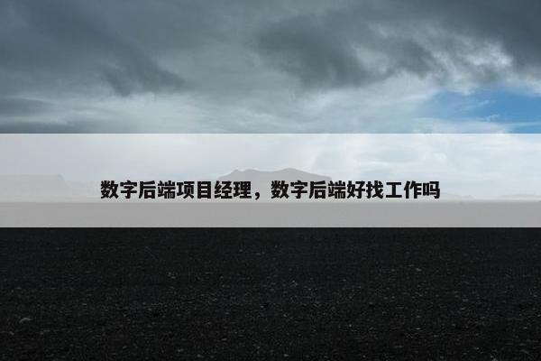 数字后端项目经理，数字后端好找工作吗