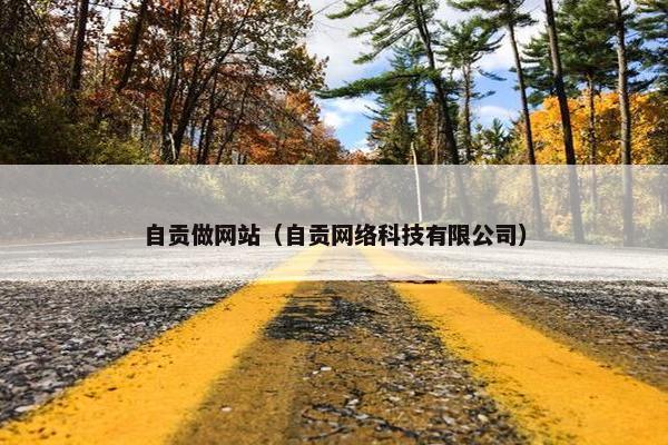 自贡做网站（自贡网络科技有限公司）
