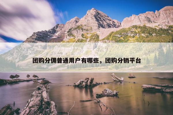 团购分佣普通用户有哪些，团购分销平台