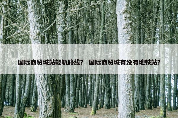 国际商贸城站轻轨路线？ 国际商贸城有没有地铁站？