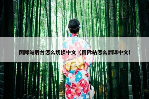 国际站后台怎么切换中文（国际站怎么翻译中文）