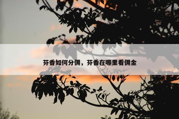 芬香如何分佣，芬香在哪里看佣金