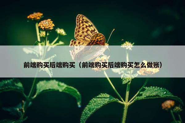 前端购买后端购买（前端购买后端购买怎么做账）