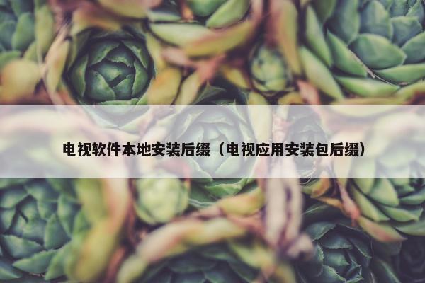 电视软件本地安装后缀（电视应用安装包后缀）