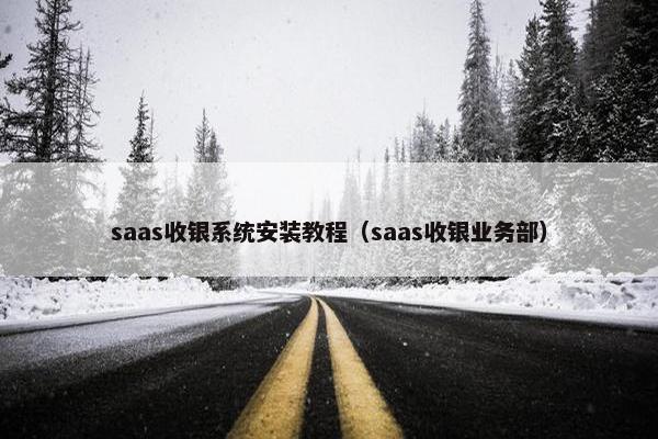 saas收银系统安装教程（saas收银业务部）