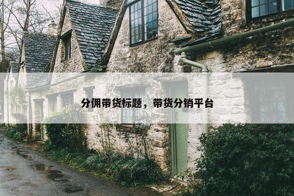 分佣带货标题，带货分销平台