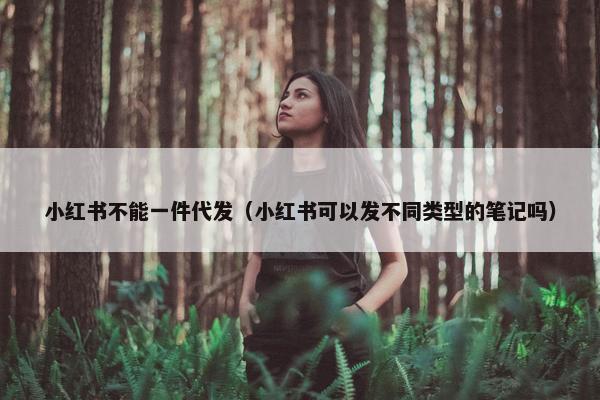 小红书不能一件代发（小红书可以发不同类型的笔记吗）