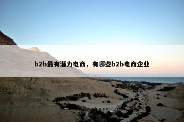 b2b最有潜力电商，有哪些b2b电商企业