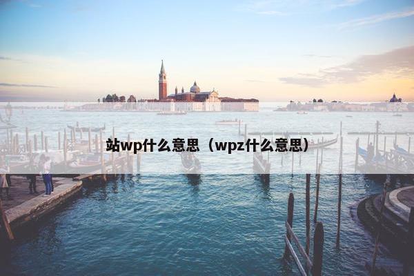 站wp什么意思（wpz什么意思）