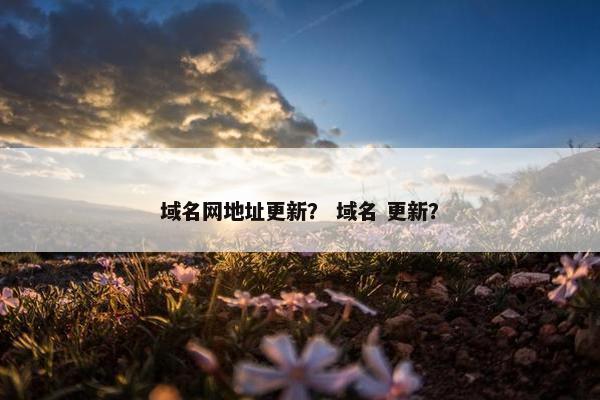 域名网地址更新？ 域名 更新？