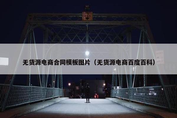 无货源电商合同模板图片（无货源电商百度百科）