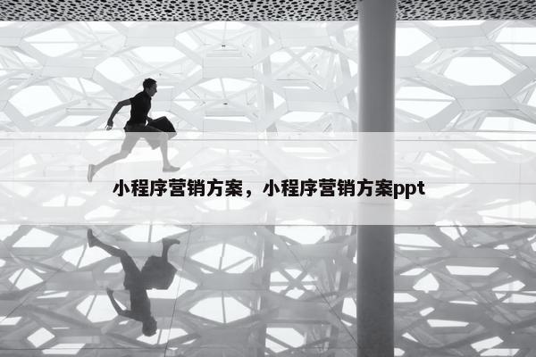 小程序营销方案，小程序营销方案ppt