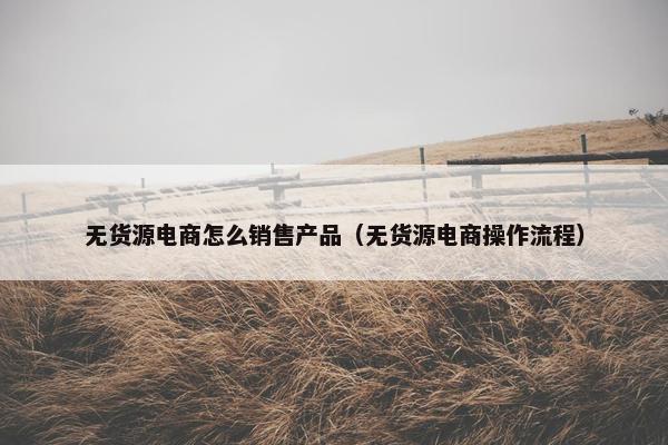 无货源电商怎么销售产品（无货源电商操作流程）