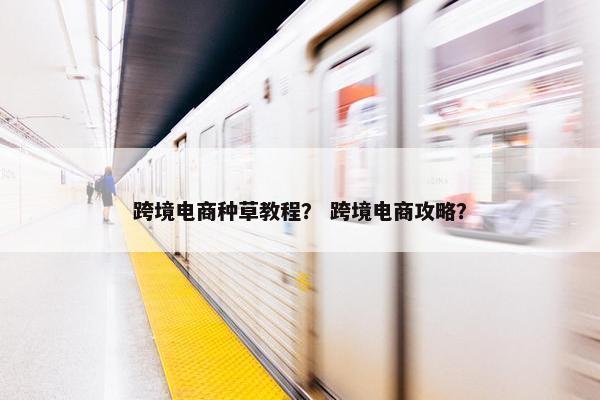 跨境电商种草教程？ 跨境电商攻略？