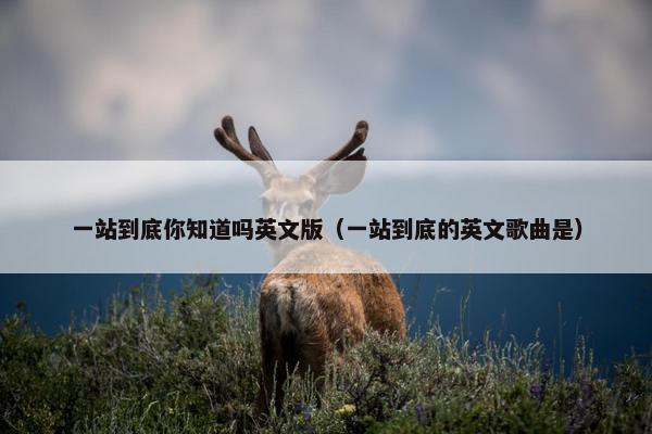 一站到底你知道吗英文版（一站到底的英文歌曲是）
