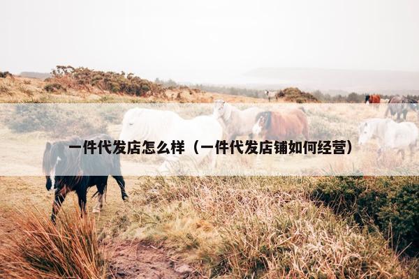 一件代发店怎么样（一件代发店铺如何经营）