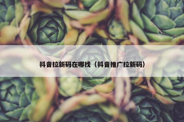 抖音拉新码在哪找（抖音推广拉新码）