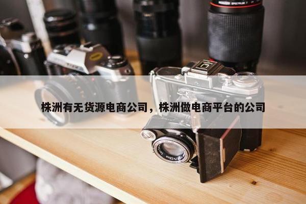 株洲有无货源电商公司，株洲做电商平台的公司