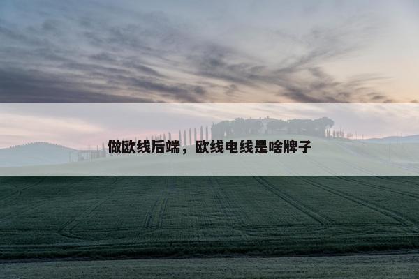 做欧线后端，欧线电线是啥牌子