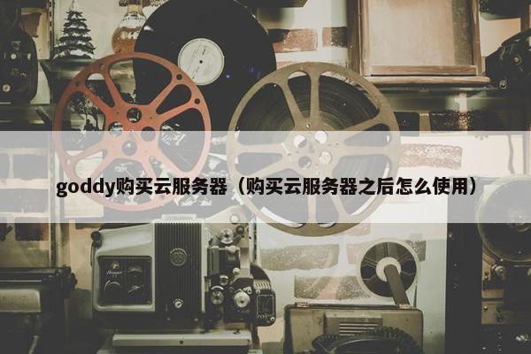 goddy购买云服务器（购买云服务器之后怎么使用）