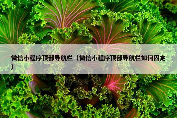 微信小程序顶部导航栏（微信小程序顶部导航栏如何固定）