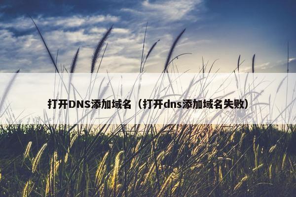打开DNS添加域名（打开dns添加域名失败）