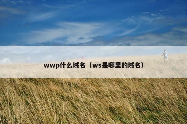wwp什么域名（ws是哪里的域名）