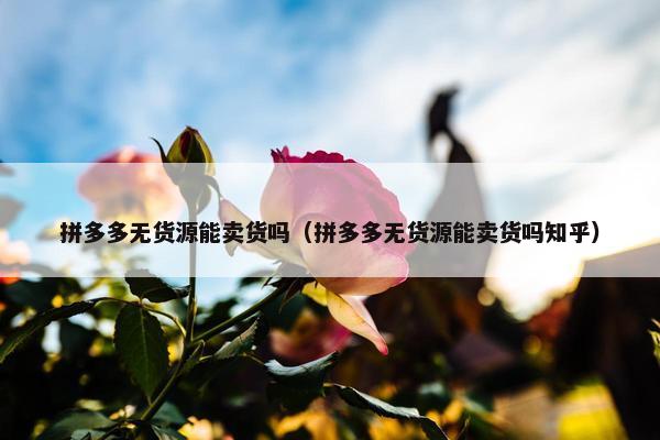 拼多多无货源能卖货吗（拼多多无货源能卖货吗知乎）