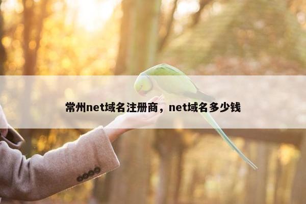 常州net域名注册商，net域名多少钱