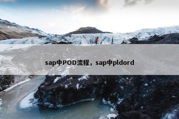 sap中POD流程，sap中pldord