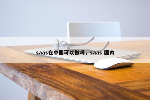 saas在中国可以做吗，saas 国内