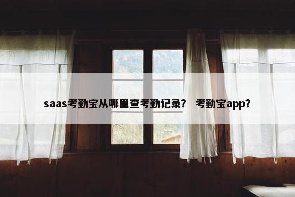 saas考勤宝从哪里查考勤记录？ 考勤宝app？