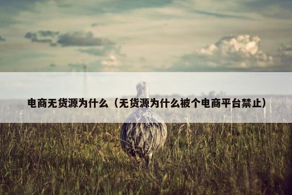 电商无货源为什么（无货源为什么被个电商平台禁止）